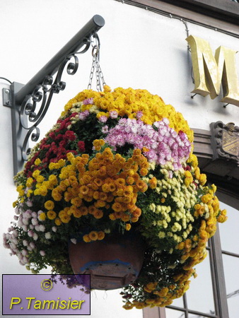 2008-12-13 15-59-22.JPG - Weihnachtszeit in den Vogesen Strassburg